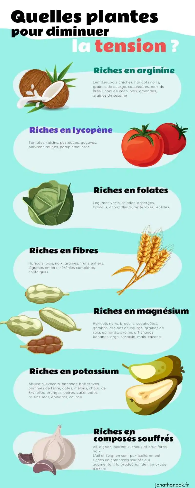 Les plantes bonnes pour diminuer la tension